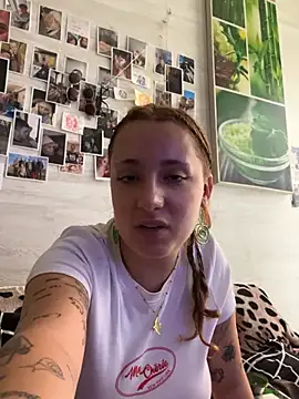 Show webcam de Hawitxui
