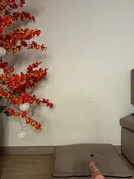 VictoriaHiillのウェブカメラショー