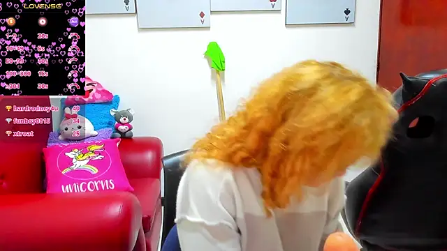 Salomeediaz_n Webbikameraesitys