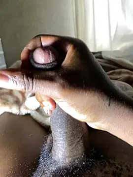 duzuing Show in webcam