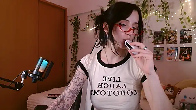 Viv_Player 웹캠 쇼