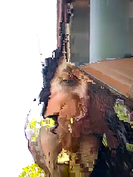 Show webcam de Izabella_Bella