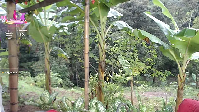 esmeralda_li's Webcam Show