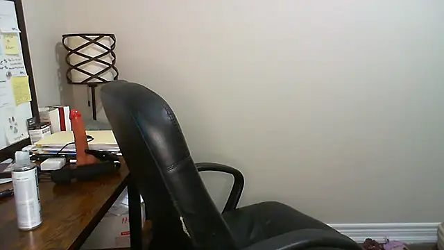 Phil-DeGashn Webbikameraesitys