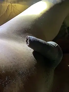 Smalldick13cm – webcam-show