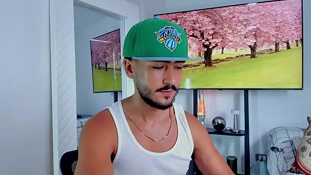 david__johnson372n Webbikameraesitys
