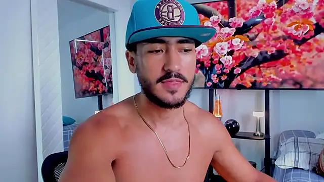 david__johnson372n Webbikameraesitys