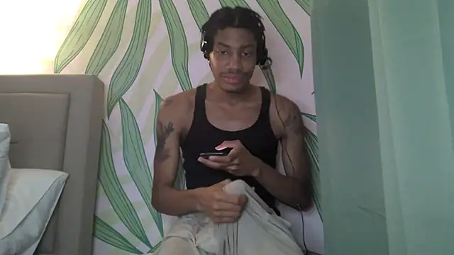 Show webcam de BlackBullTitus