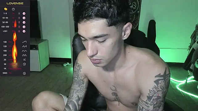 Damon__333n Webbikameraesitys