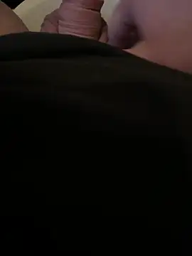 Fjomen Webbikameraesitys