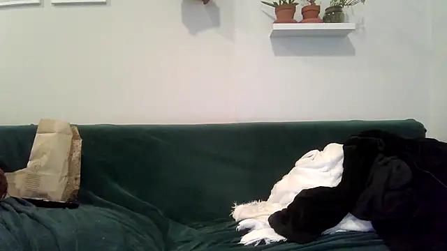 badblondebunny 现场聊天室