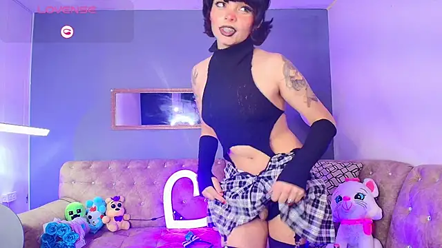 Palmer-Foster's Webcam Show