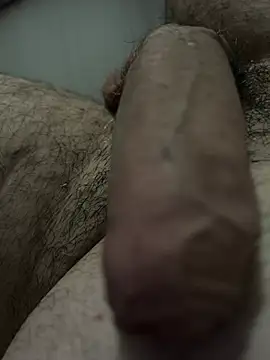 Dotato28cm Webcam show