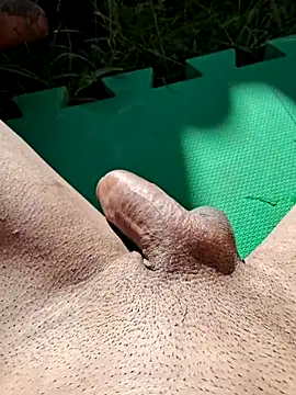 Show de webcam de threwizard_