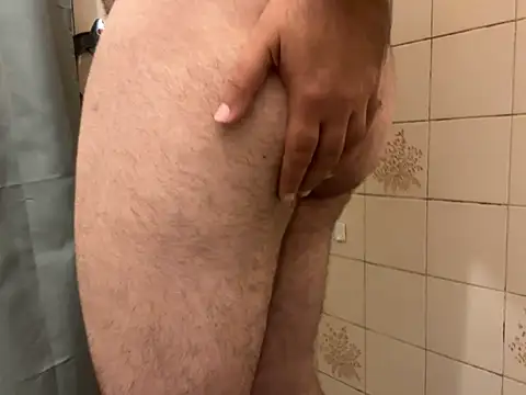 Show Webcam de dvertens