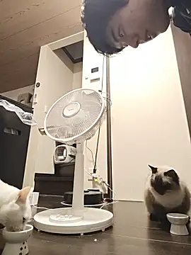 whitebriefboyのウェブカメラショー
