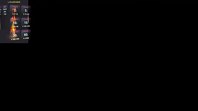Show Webcam de justincs