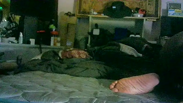 Show de CR3M3_FIR3 na webcam