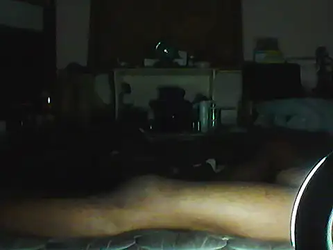 Show webcam de CR3M3_FIR3