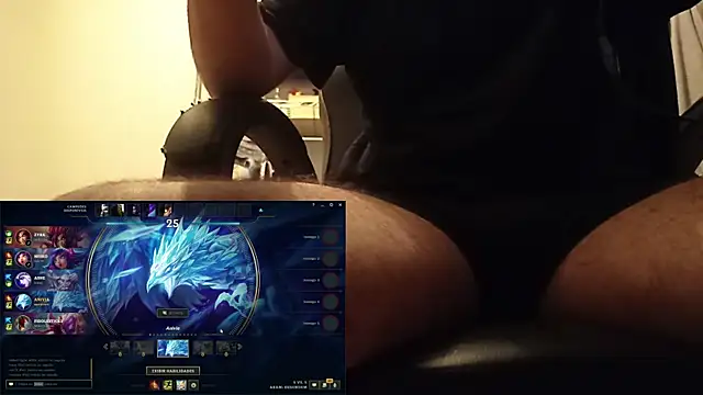 Show webcam de slowboy_z