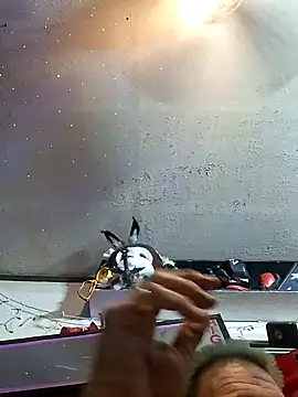 In2itvegassstyleのライブチャットルーム