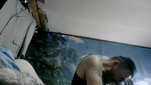 Show Webcam de In2itvegassstyle