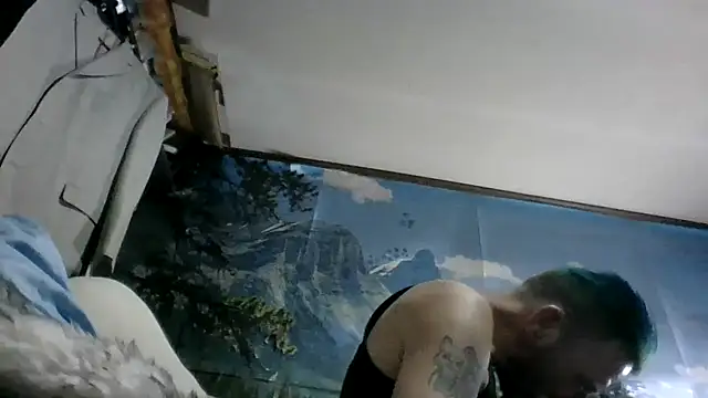 Show webcam de In2itvegassstyle