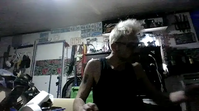 Show webcam de In2itvegassstyle