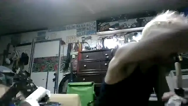 Show webcam de In2itvegassstyle