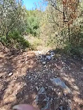 Вебкам-шоу LEIRIS_Y_FRED_01