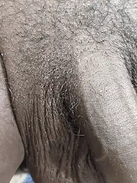 FeltedEuropium Webcam show