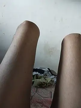 הופעת וובקאם של FeltedEuropium
