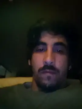 CAVP420 Show in webcam