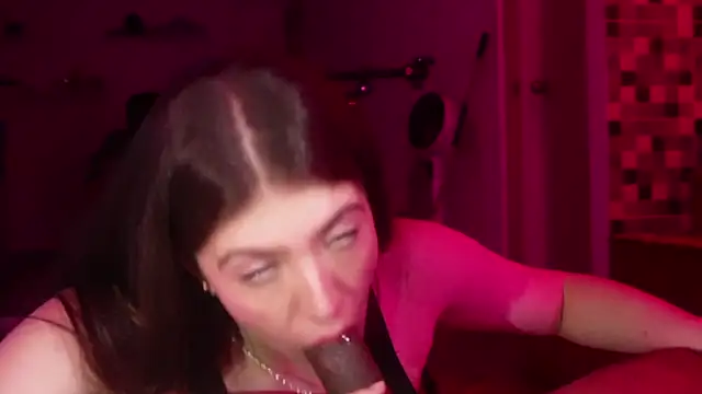 Show webcam de Eazinity