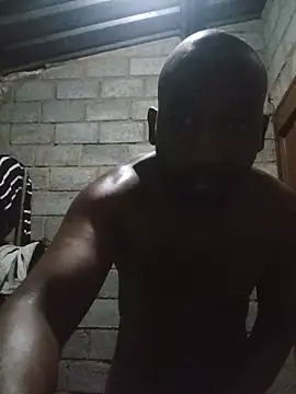 WiseDi Show in webcam