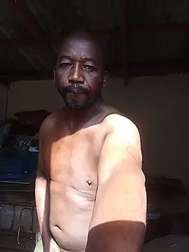 WiseDi Webcamshow