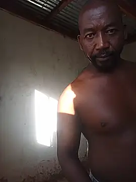 WiseDi Webcamshow