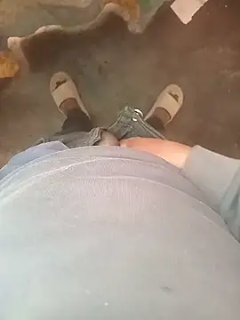 WiseDi webcam show