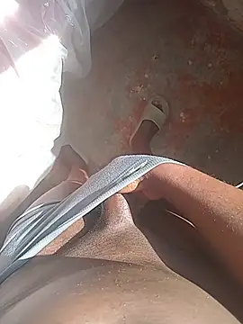 WiseDi Webcam Show
