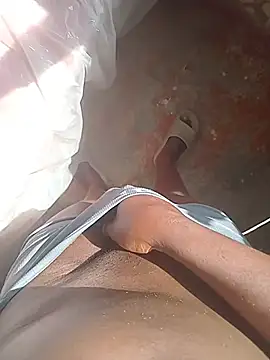 Show de WiseDi na webcam