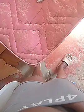 WiseDi webcam show