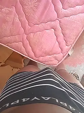 WiseDi Show in webcam
