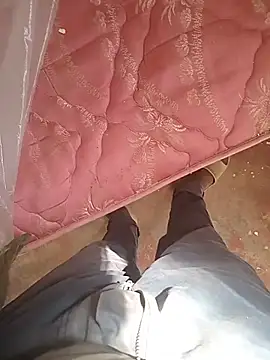 WiseDi Webcam show
