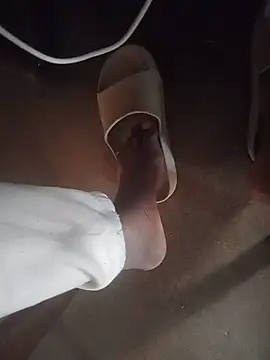 WiseDi Show in webcam