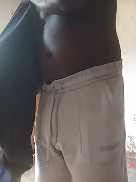 WiseDi Webcam-Show