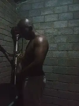WiseDi Show in webcam