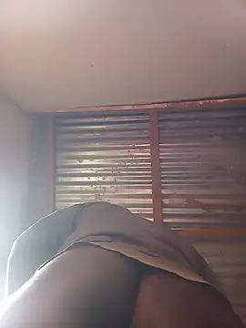 Show Webcam de WiseDi