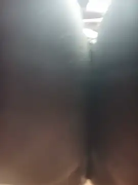 WiseDi's Webcam Show