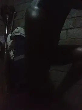 WiseDi Show Webcam