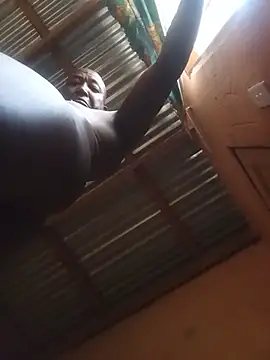 WiseDi Pertunjukan Webcam